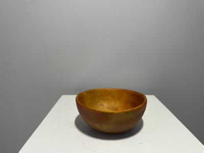 Rhododenron Rhododenron