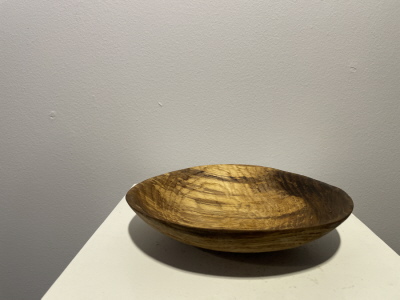 Driftwood probably Oak