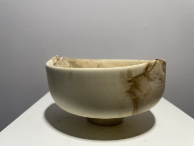 Holly Tree Holly Tree